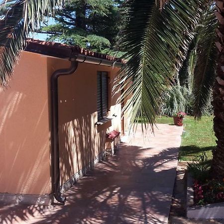 Apartment Kika Ližnjan Екстериор снимка